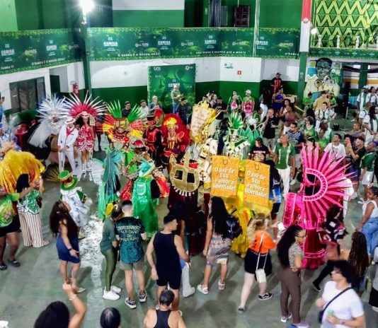 fantasias Camisa Verde e Branco 2026