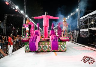 Desfile campeão do Grupo de Acesso 3 de Bairros em 2025 - Acadêmicos do Ipiranga | Foto Daniel Amorim - UESP Carnaval