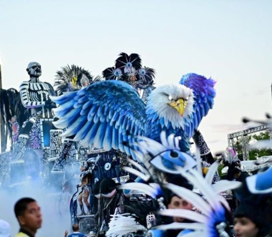 Desfile da Boa Vista - Carnaval de Vitória | Foto: Thiago Soares - Viva Samba